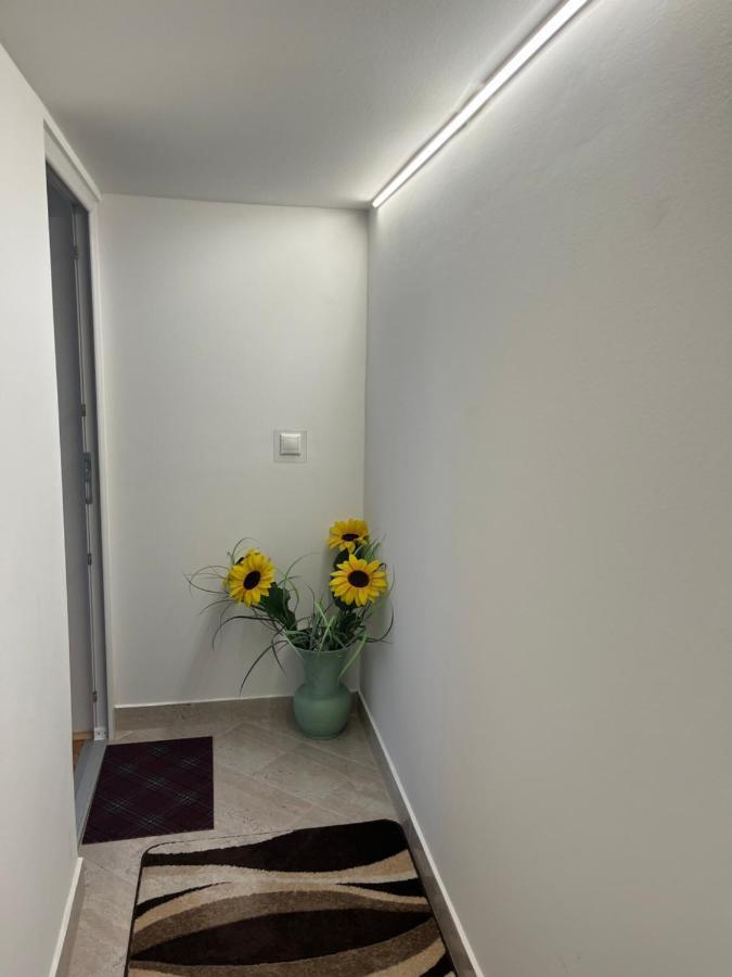 Vito Apartman إغير المظهر الخارجي الصورة